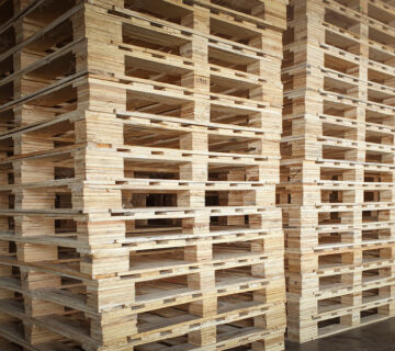 standard pallets in UAE